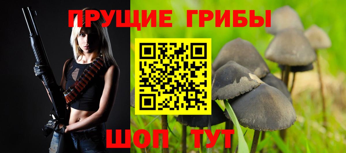 купить наркотик  Псилоцибиновые грибы Magic Shrooms  Вход с VPN  Галлюциногенные грибы мицелий  Керчь 